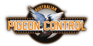 Pigeon Control